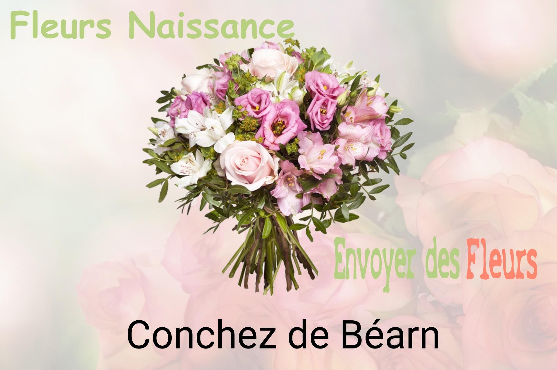 Bouquet de fleurs de naissance livré à Conchez-de-Béarn